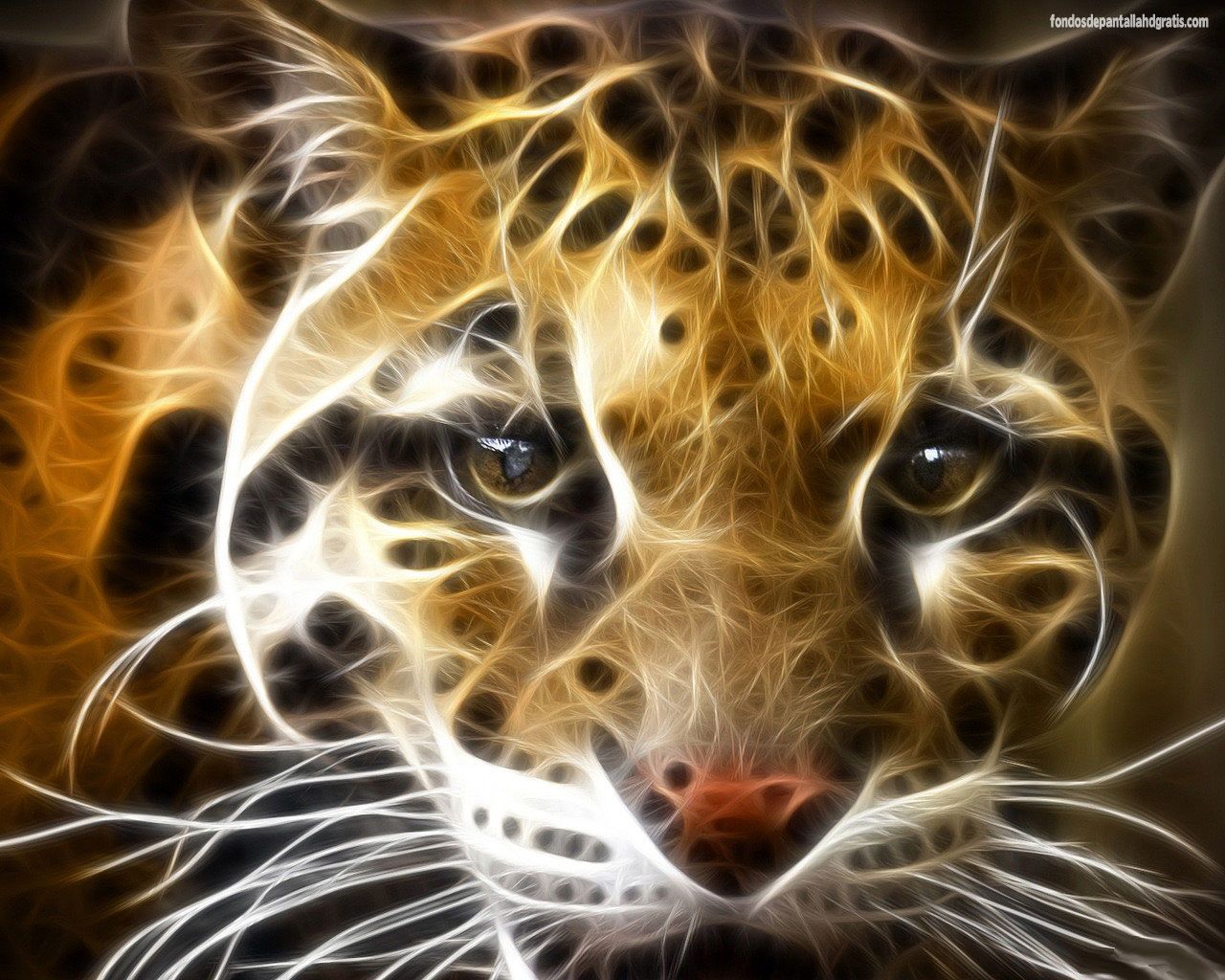 Top Wild Tiger Wallpaper Images for Pinterest