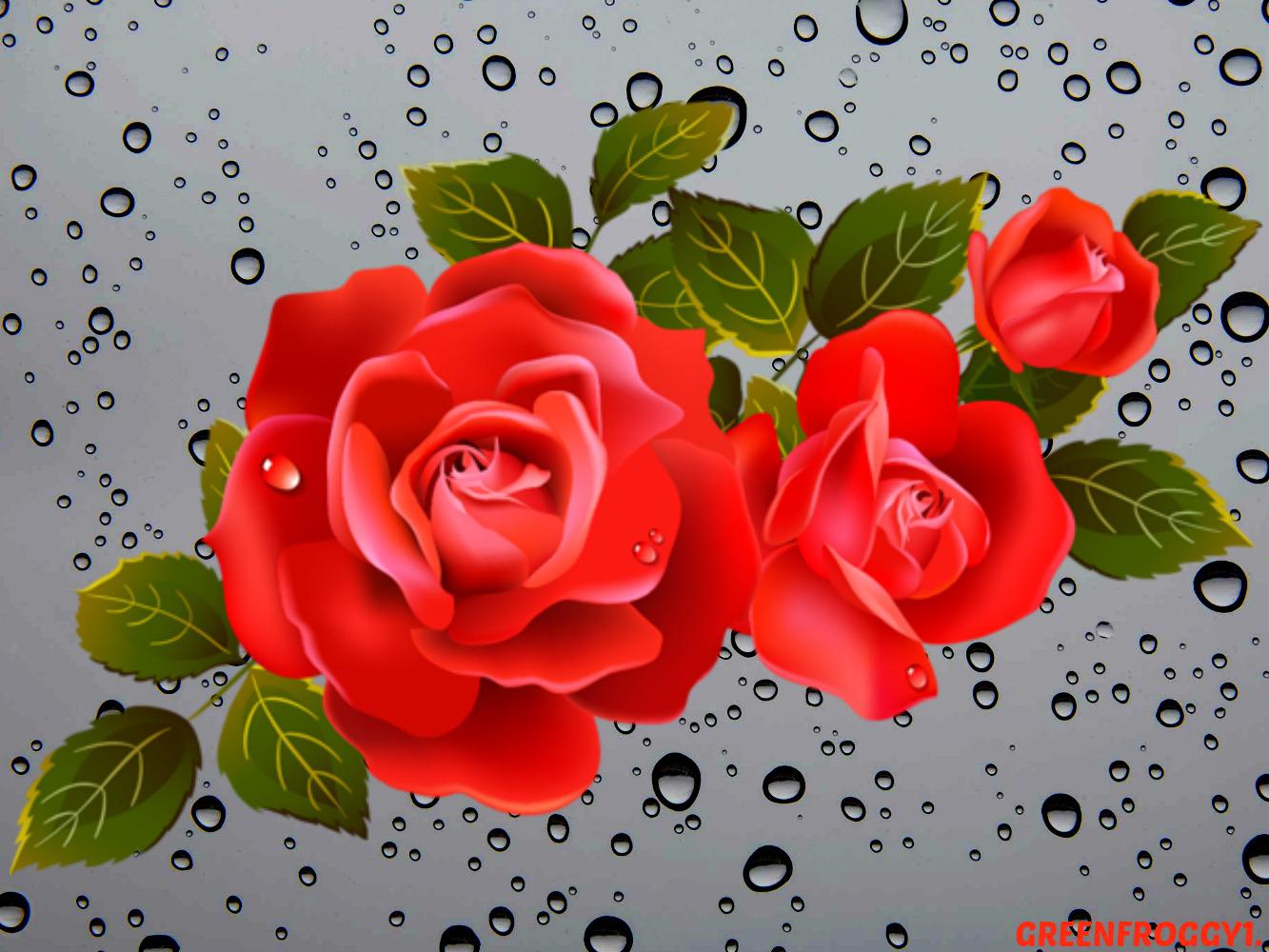 Rose with water droplets - High Quality and Resolution