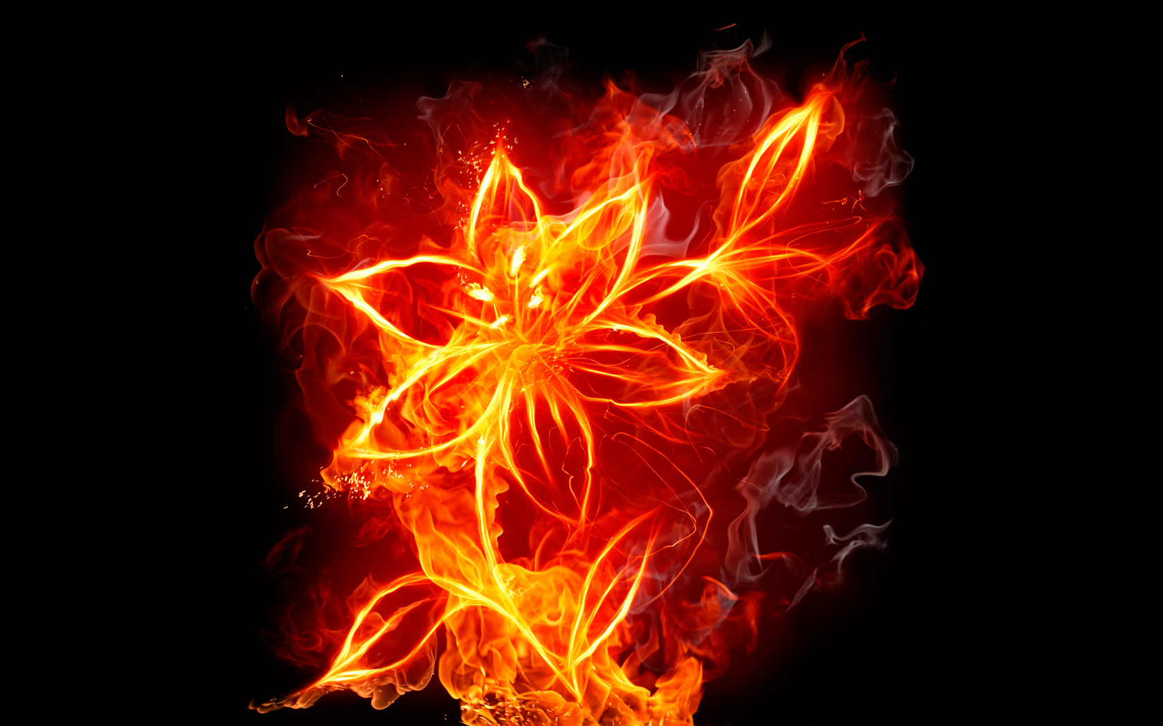 Fire Flower Computer Wallpapers, Desktop Backgrounds | 1680x1050 ...