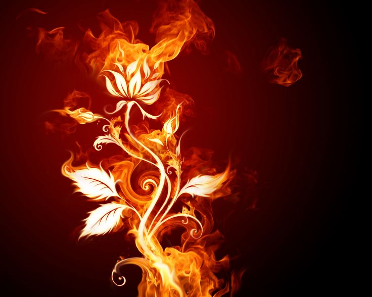 Liquid Fire Wallpaper HD on Pinterest | Wallcate.com+ ++Fire+HD+ ...
