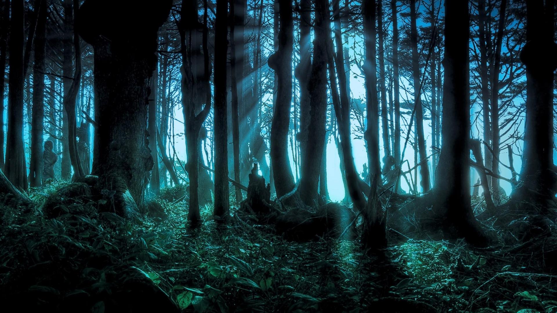 Halloween pacific forests scary wallpaper | (85336)