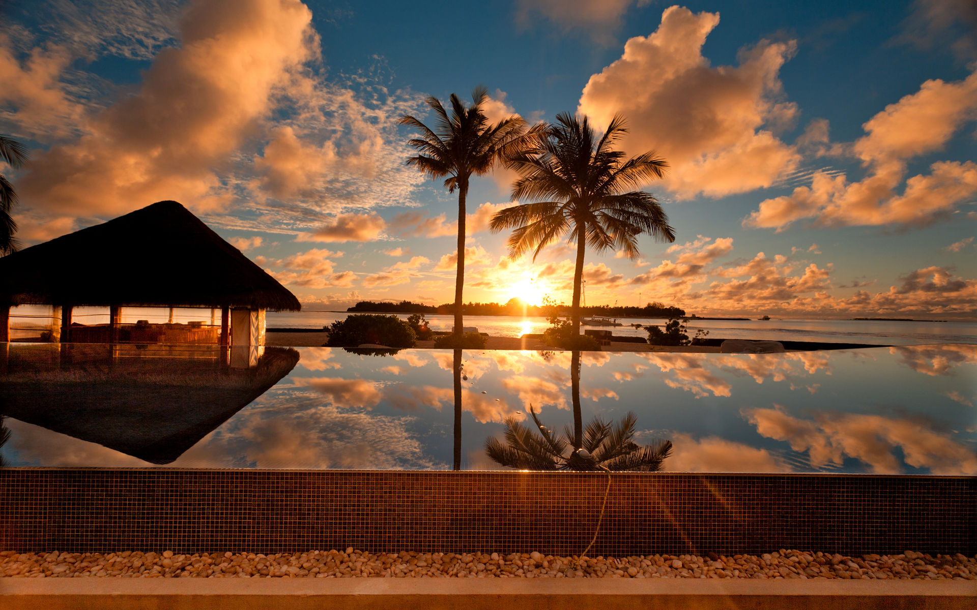 Sunset, At, Palm, Beach, Nature, Beautiful, Desktop, Background ...
