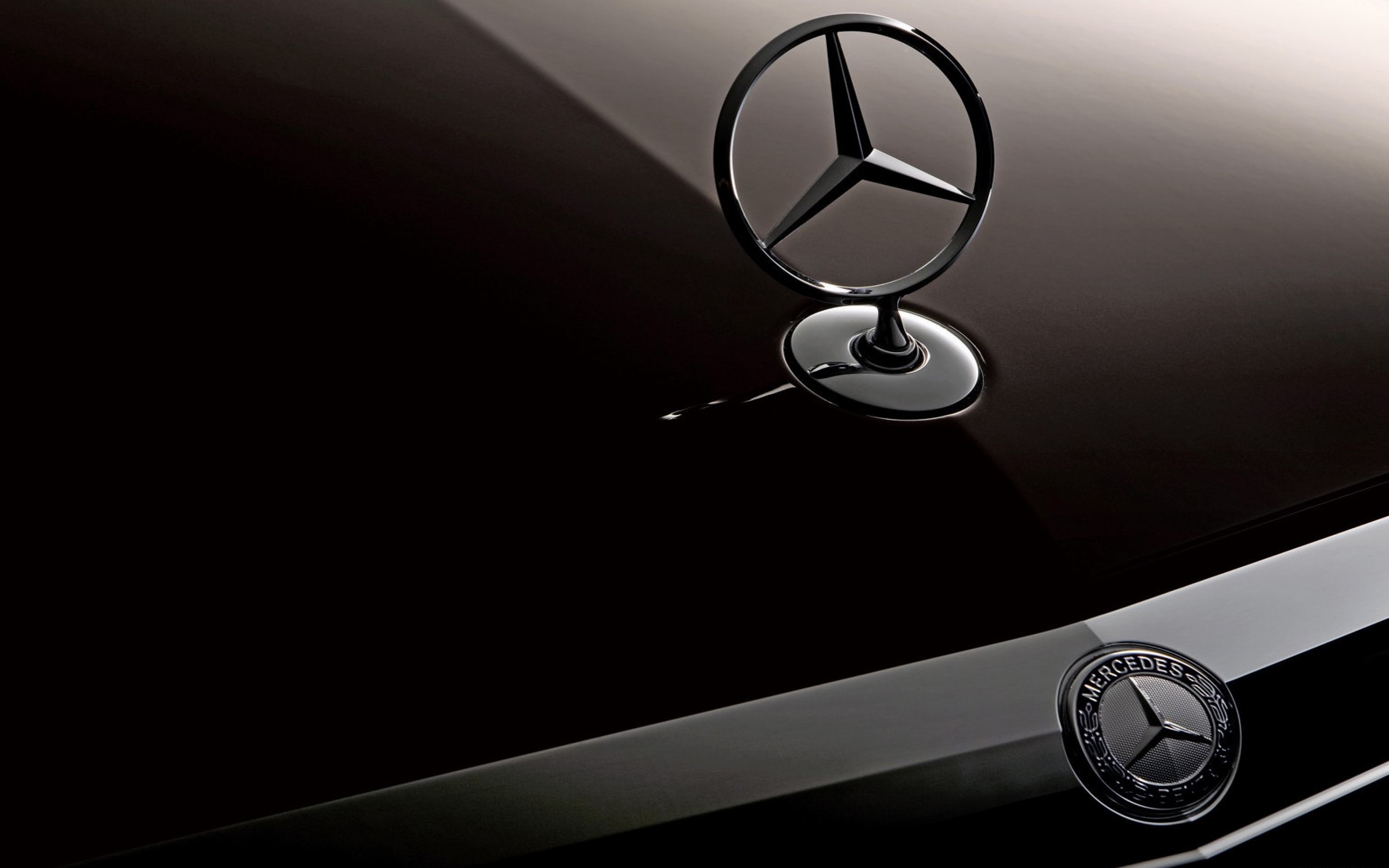 Mercedes Benz Logo 1539x1154 Wallpaper
