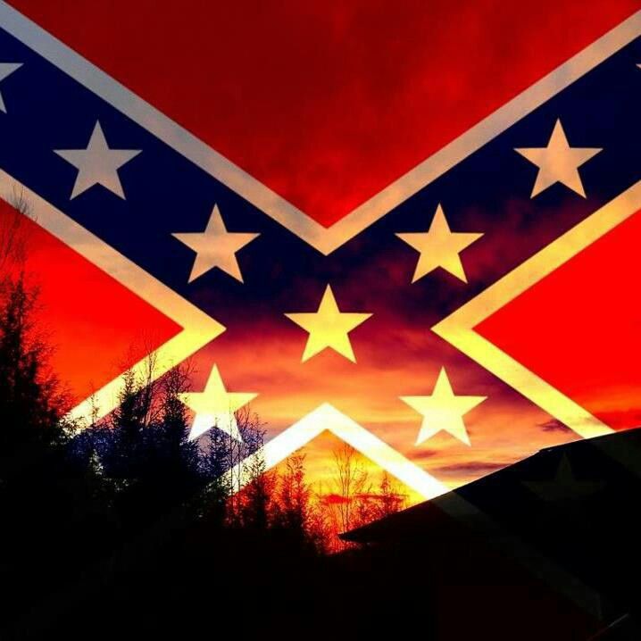    rebel flag on Pinterest | Rebel Flags, Confederate Flag and ...