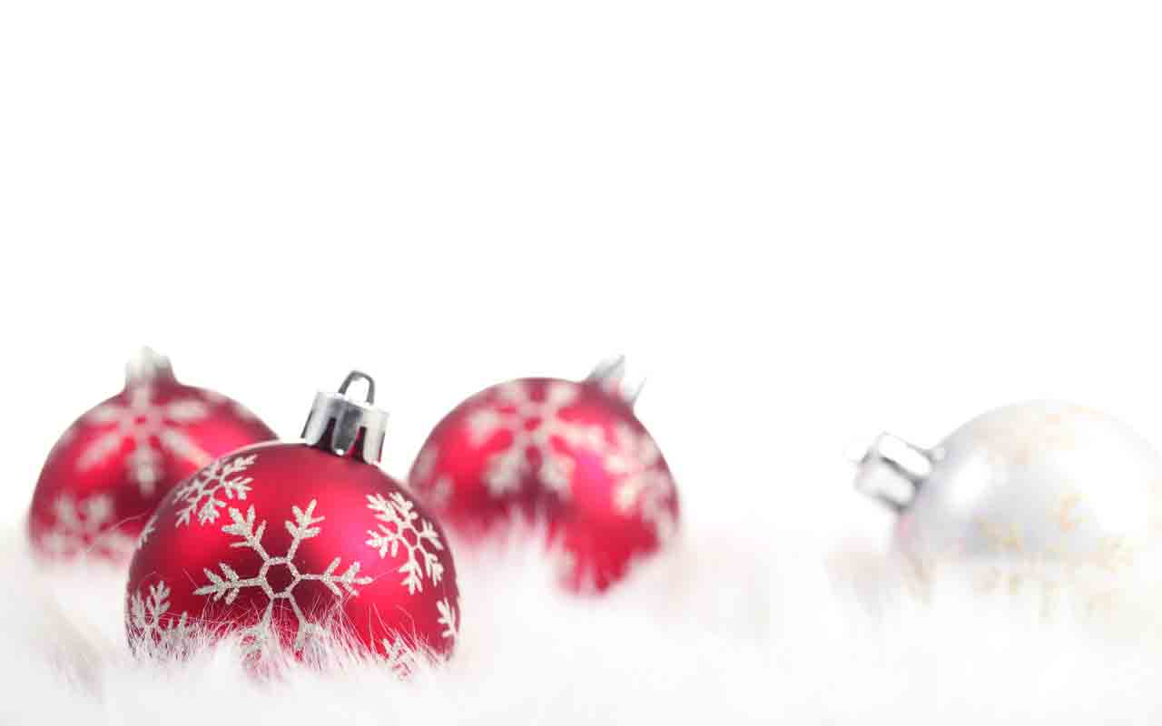 Christmas Backgrounds for Your Florist Website | Floranext ...