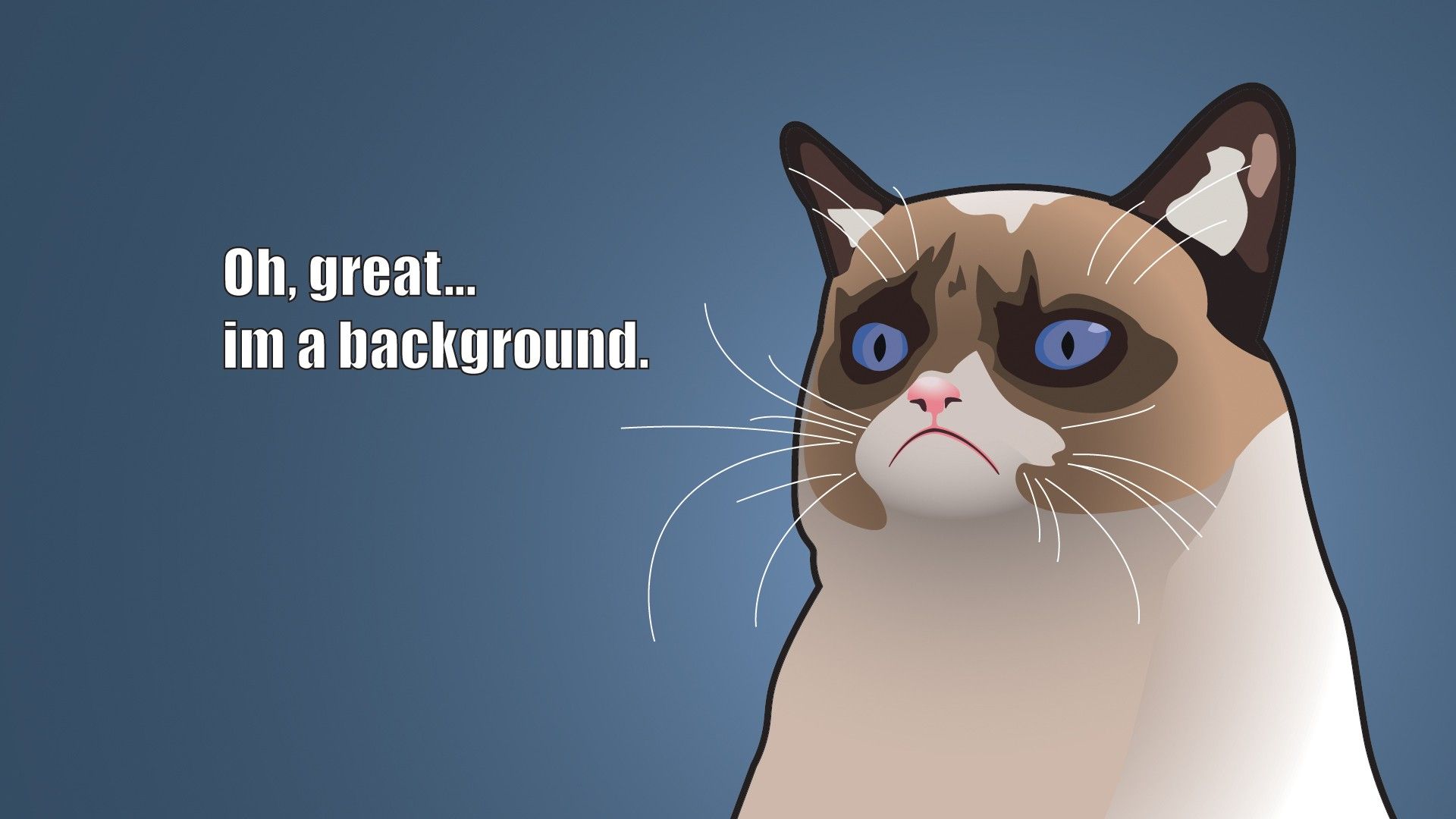 Grumpy Cat - Oh great... I'm a background Computer Wallpapers ...