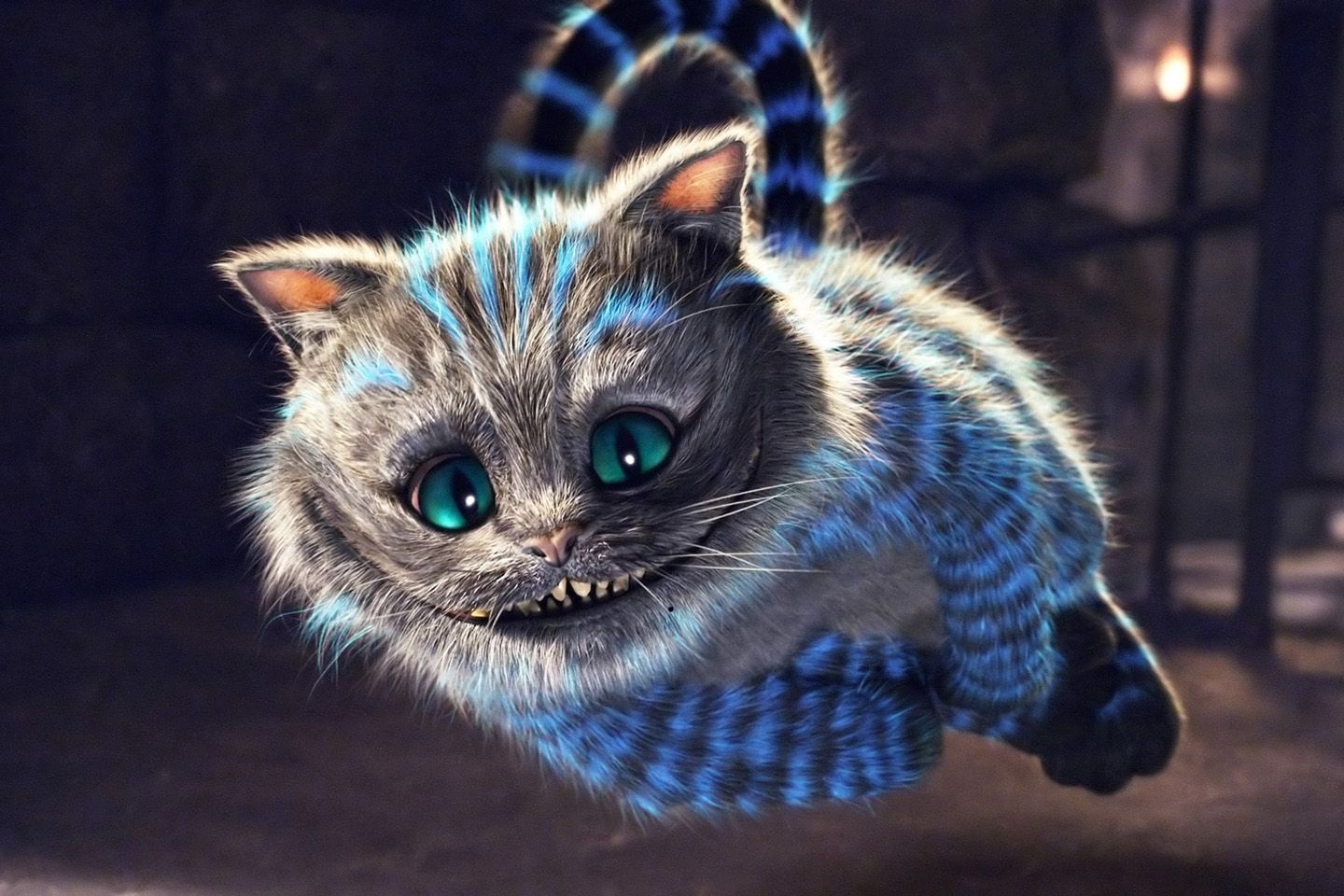 Download Cats Cheshire Cat Hd N Backgrounds Wallpaper | Full HD ...