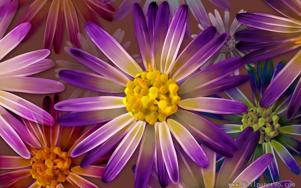beautiful flowers － Design Wallpapers - Free download wallpapers ...