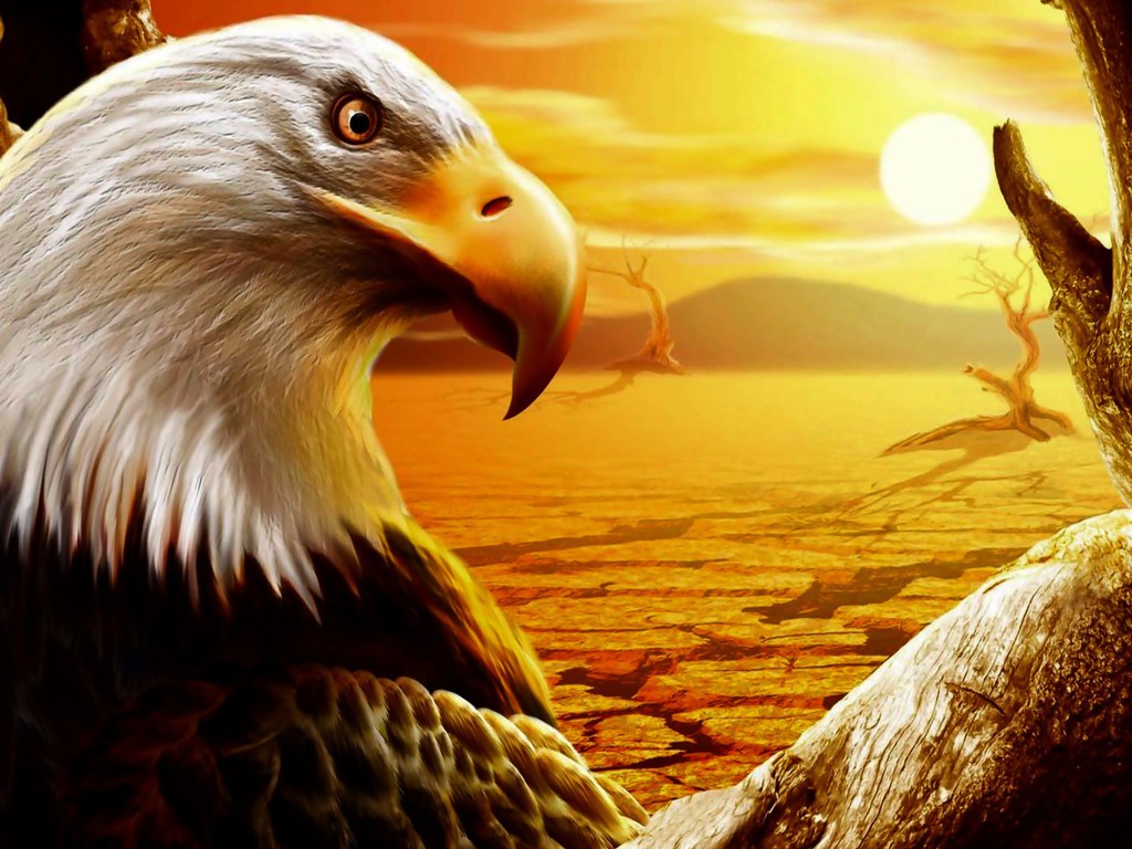 eagle wallpaper hd free download