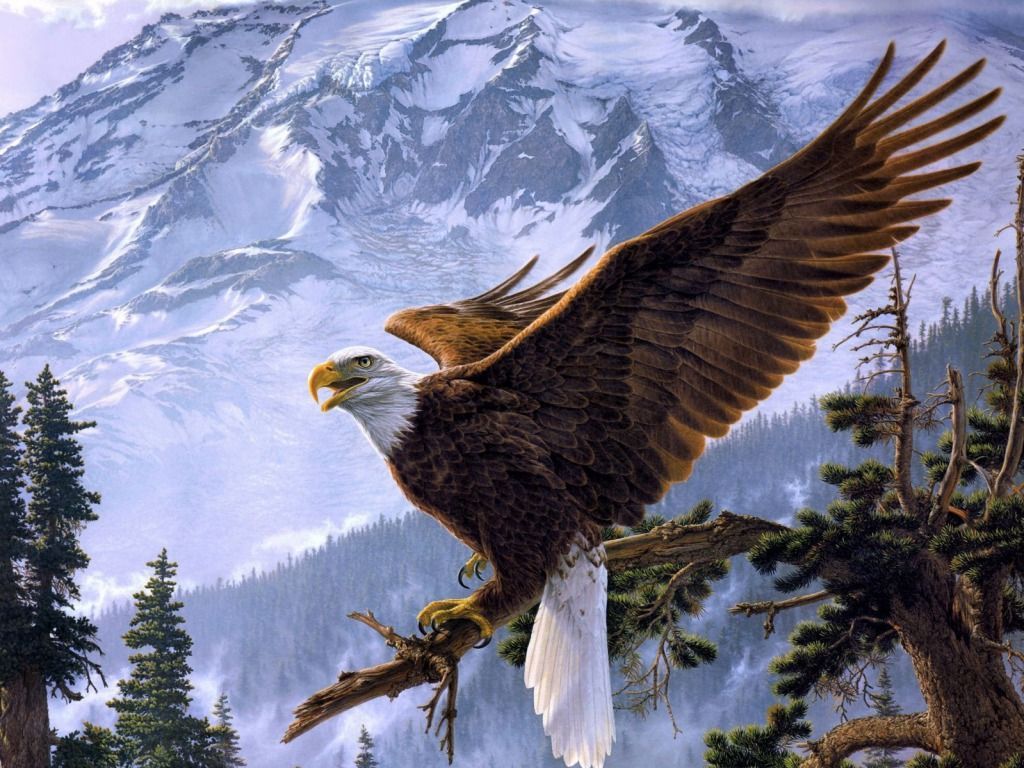 Eagle Desktop Wallpapers | One HD Wallpaper Pictures Backgrounds ...