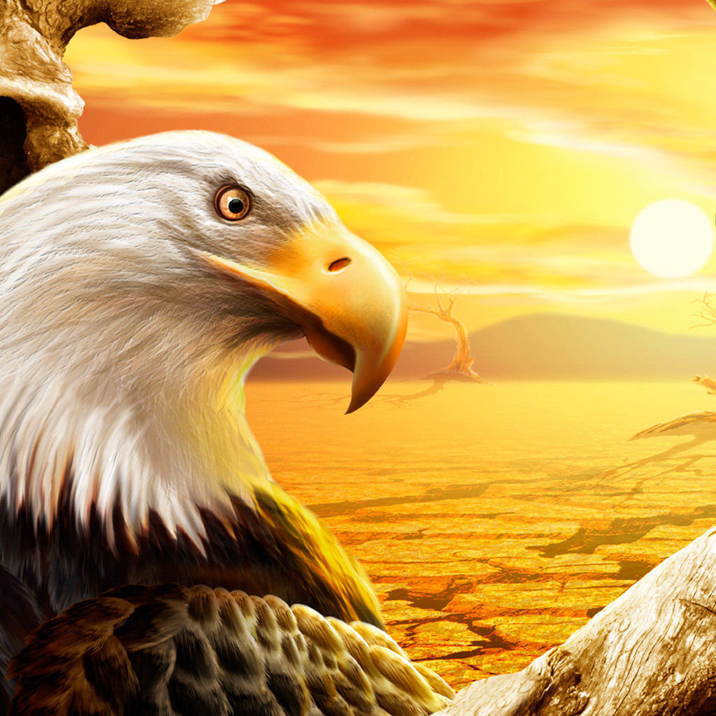 Eagle Ipad Wallpaper Download Free Ipad Wallpapers & Backgrounds ...