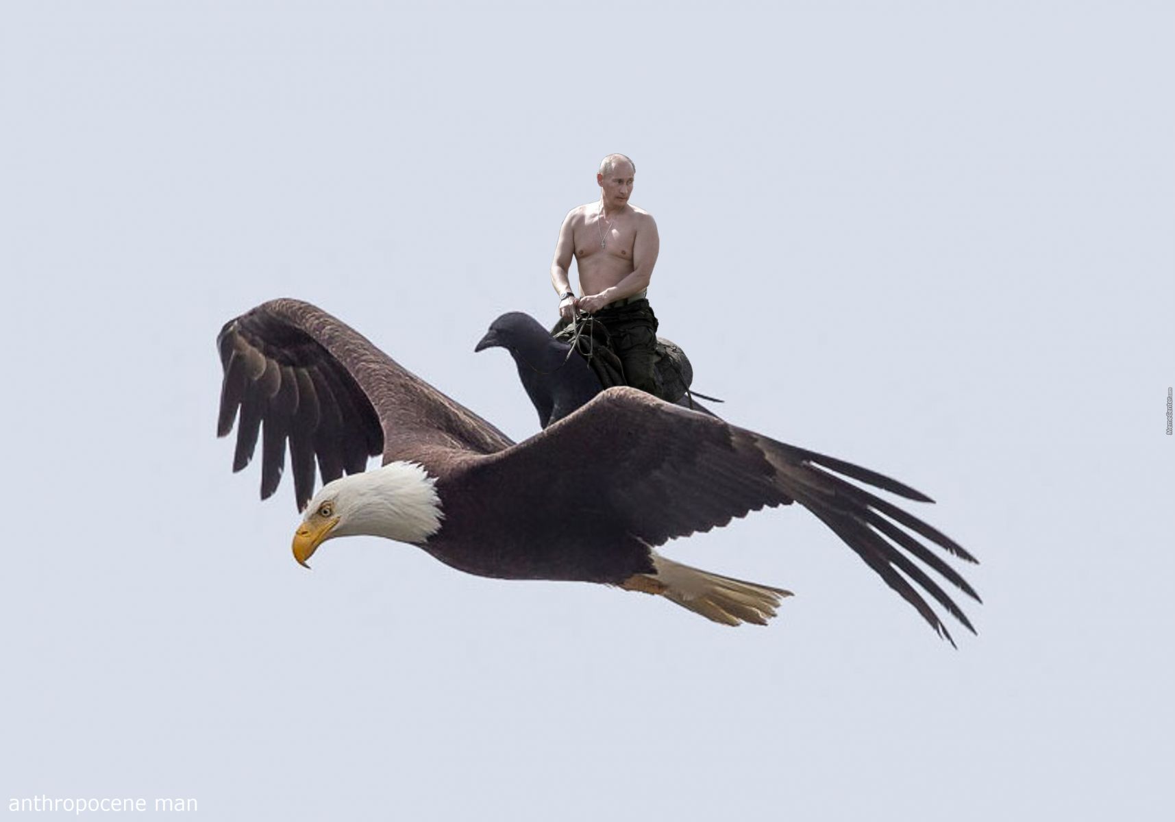 Putin Rides a crow who rides an eagle wallpaper | HD Funny ...