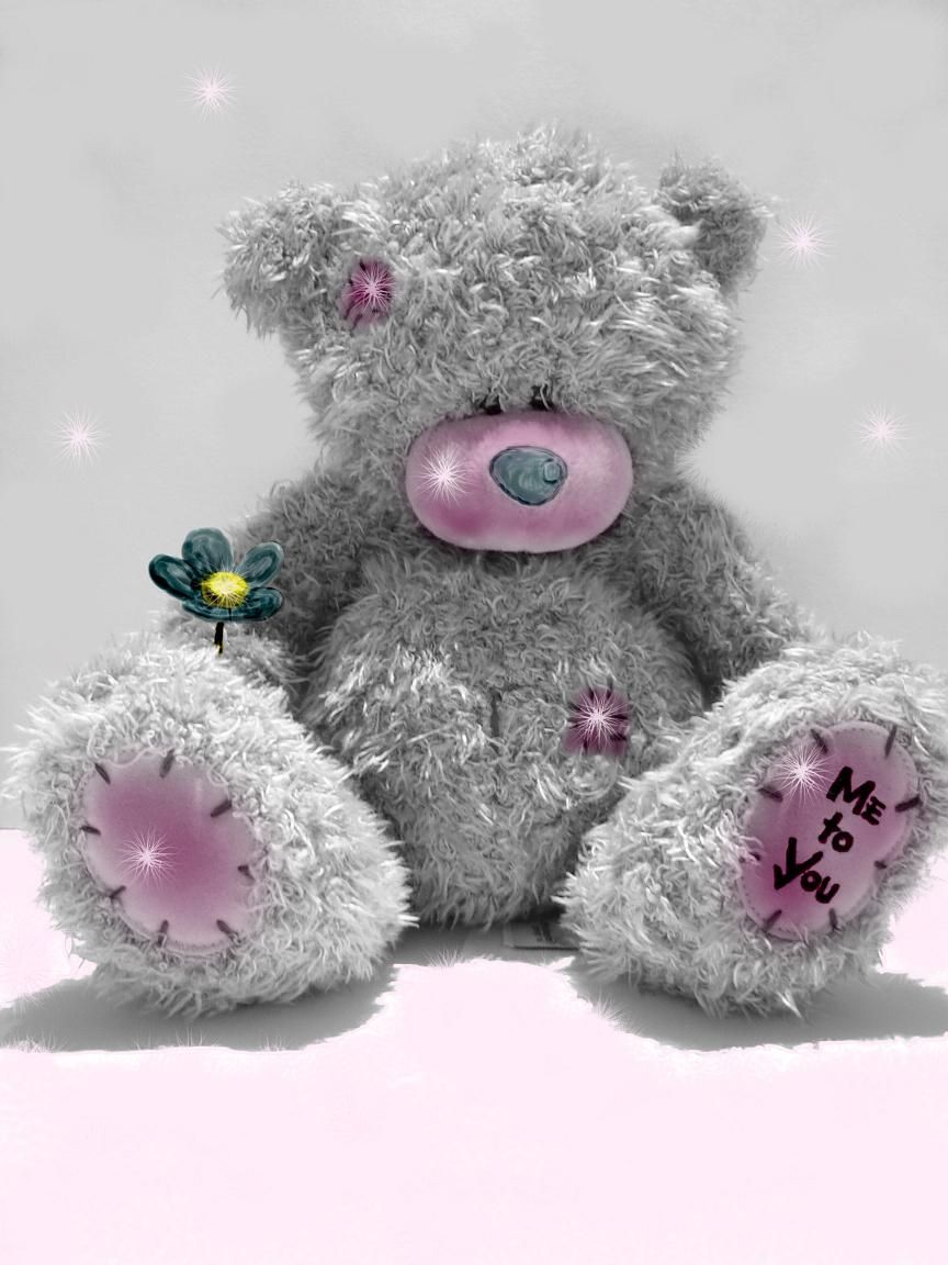 Wallpapers Pictures Photos Me To You Teddy Bears Pictures