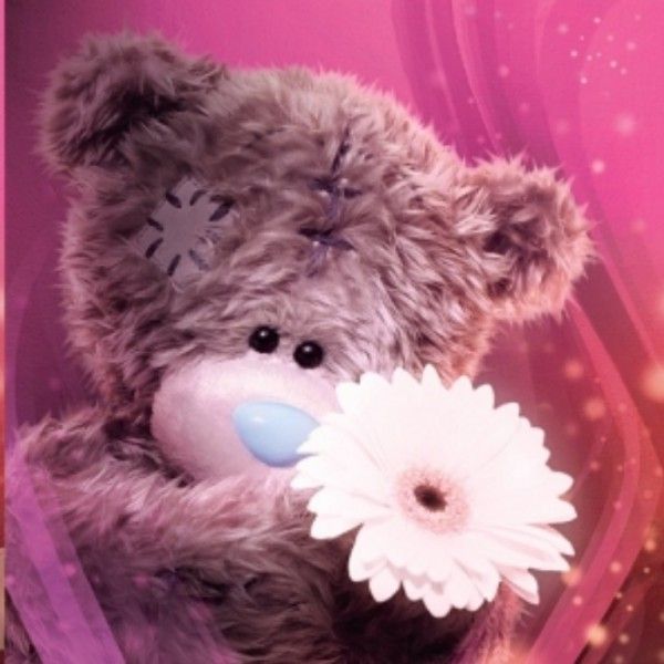 3D Tatty Teddy Holding a White Flower - The Unique Gift Store Ltd ...