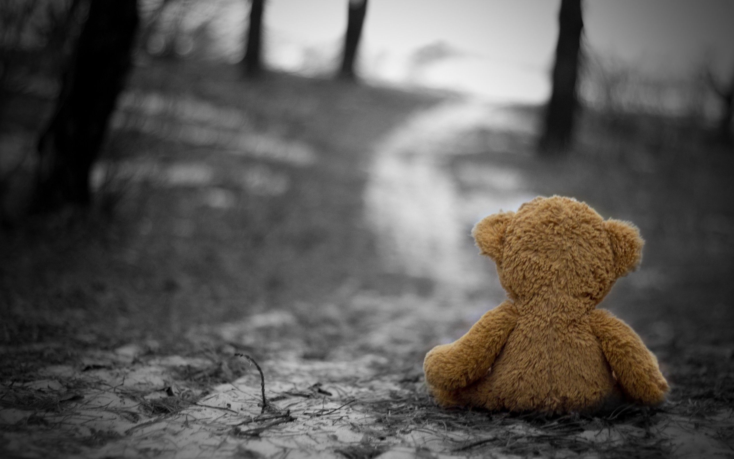 Download Wallpaper 2560x1600 Toys, Grass, Loneliness, Mood