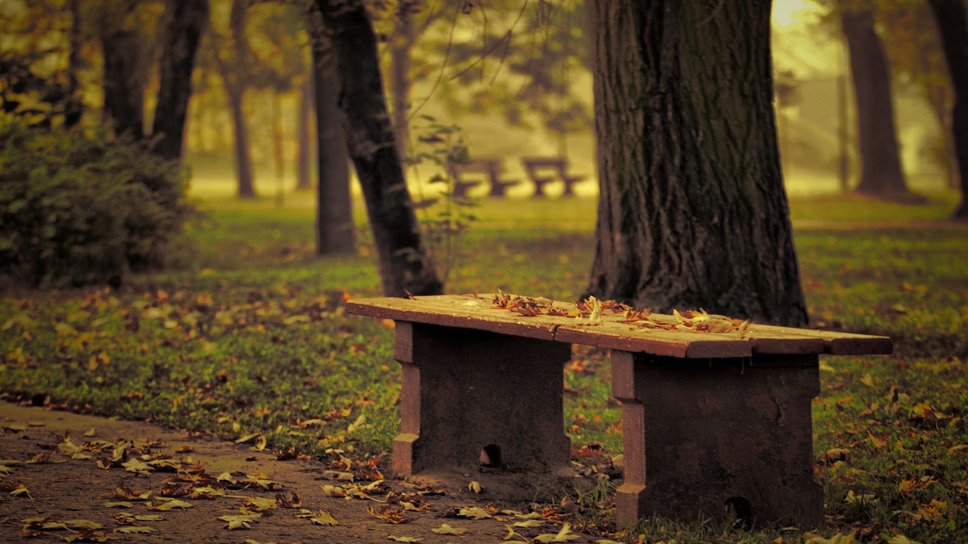 Download Wallpaper 1920x1080 Bench, Park, Leaves, Autumn, Trees ...