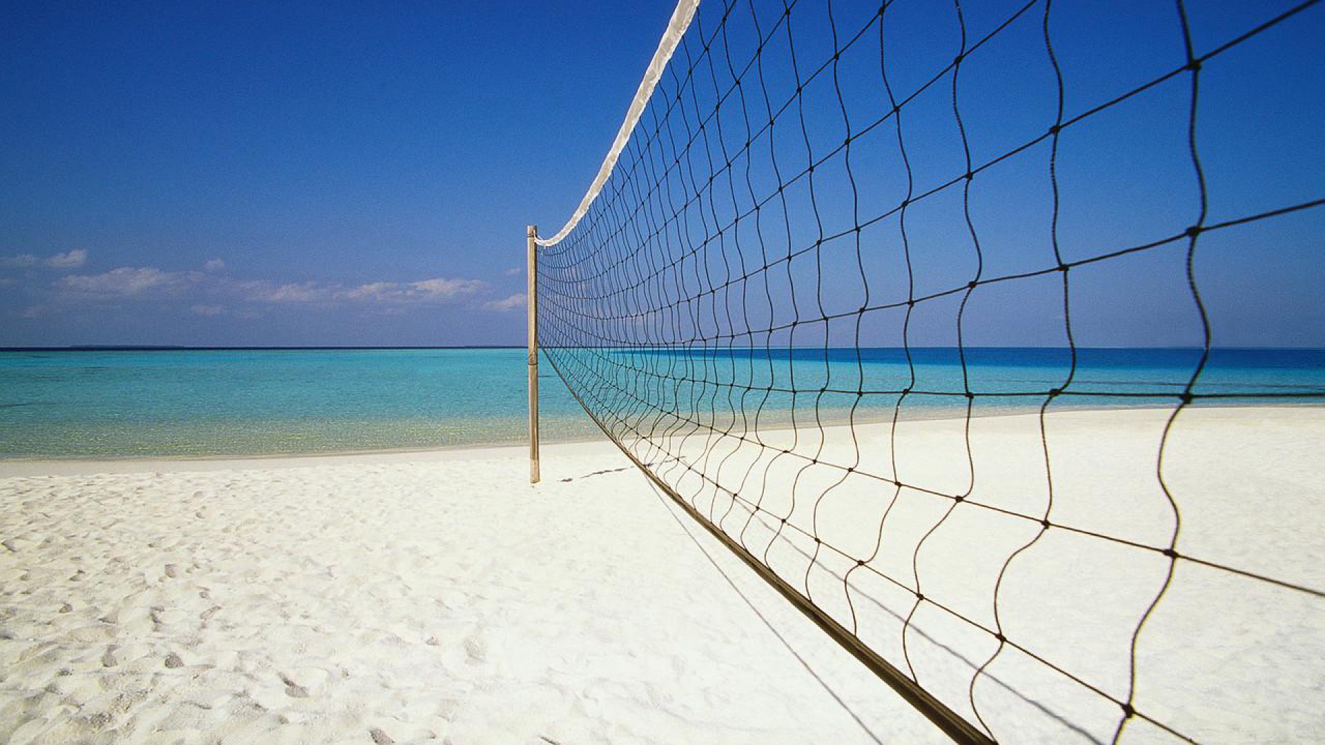 Volleyball Wallpapers | Best Wallpapers