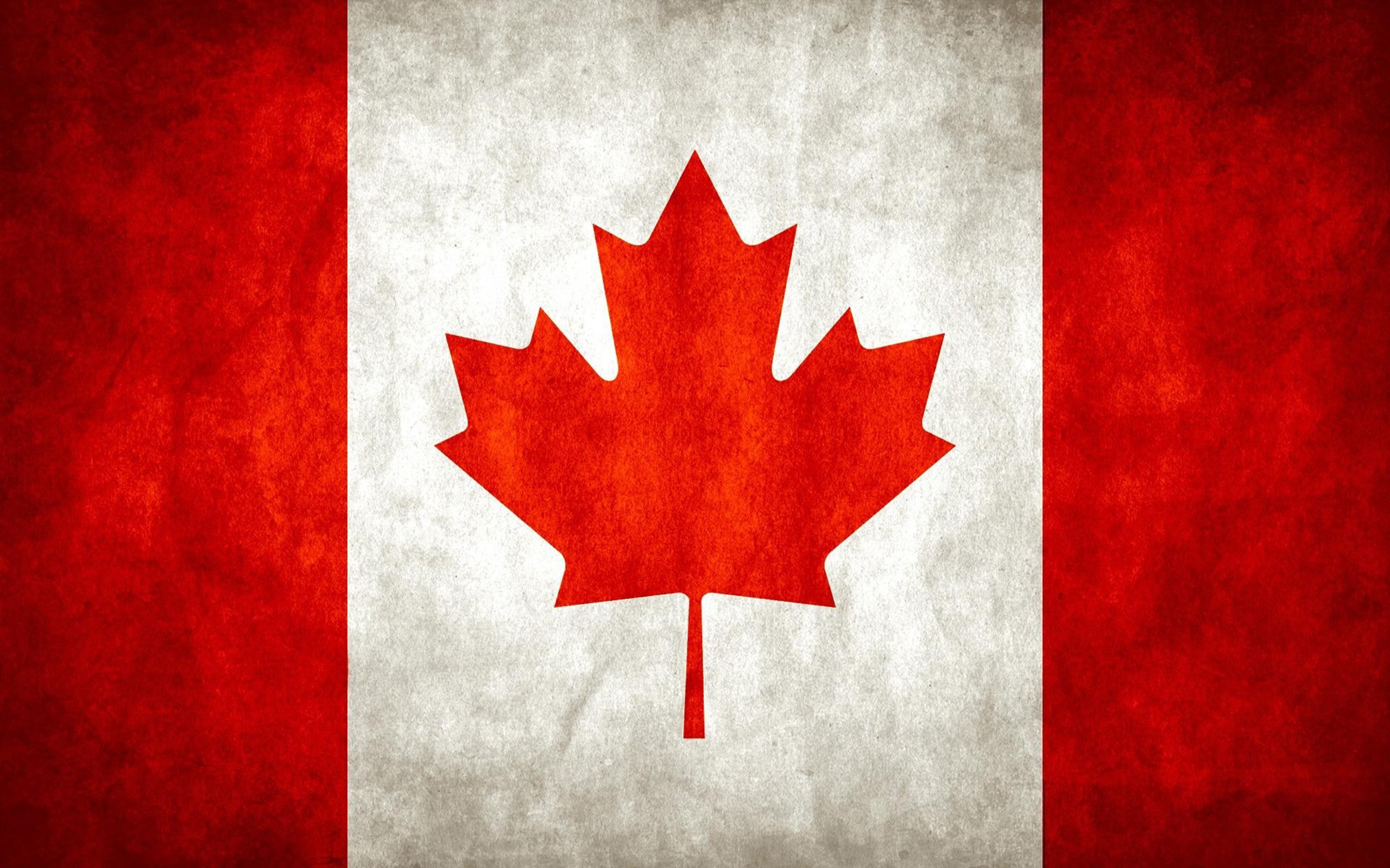 Leaves canada flags canadian flag stripes wallpaper | 2560x1600 ...