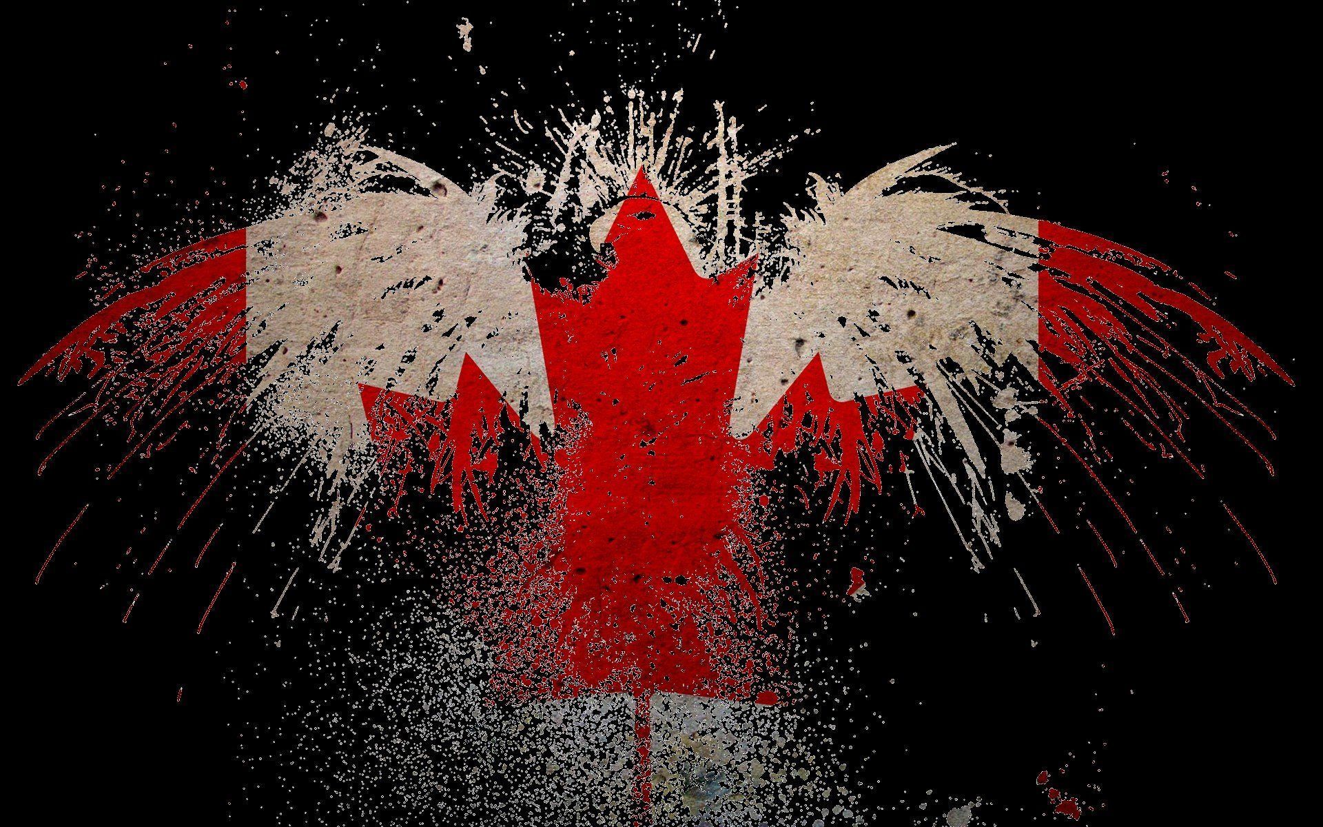 Canada Canadian flag Canada Flag wallpaper | 1920x1200 | 320854 ...