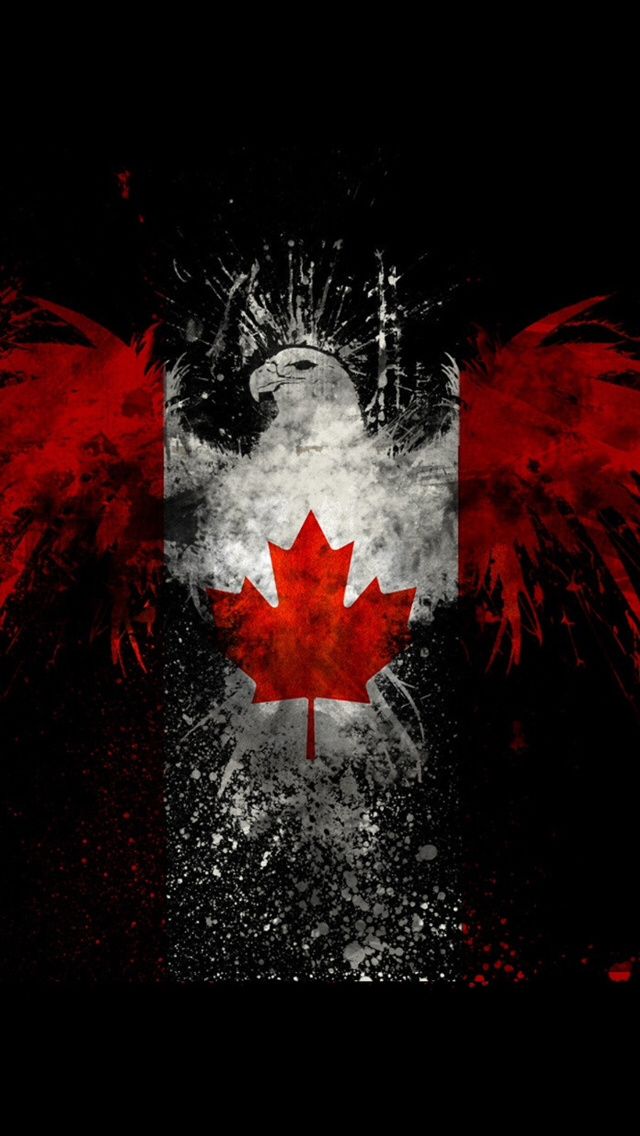 Cool eagle with Canadian flag | Canada eh! | Pinterest | Eagles ...
