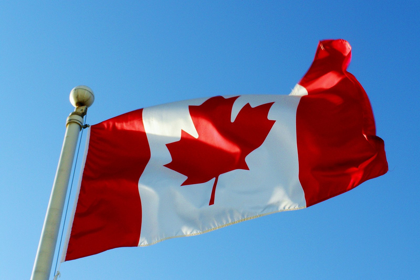 Canada Flag by CoFFeeZomBee on DeviantArt