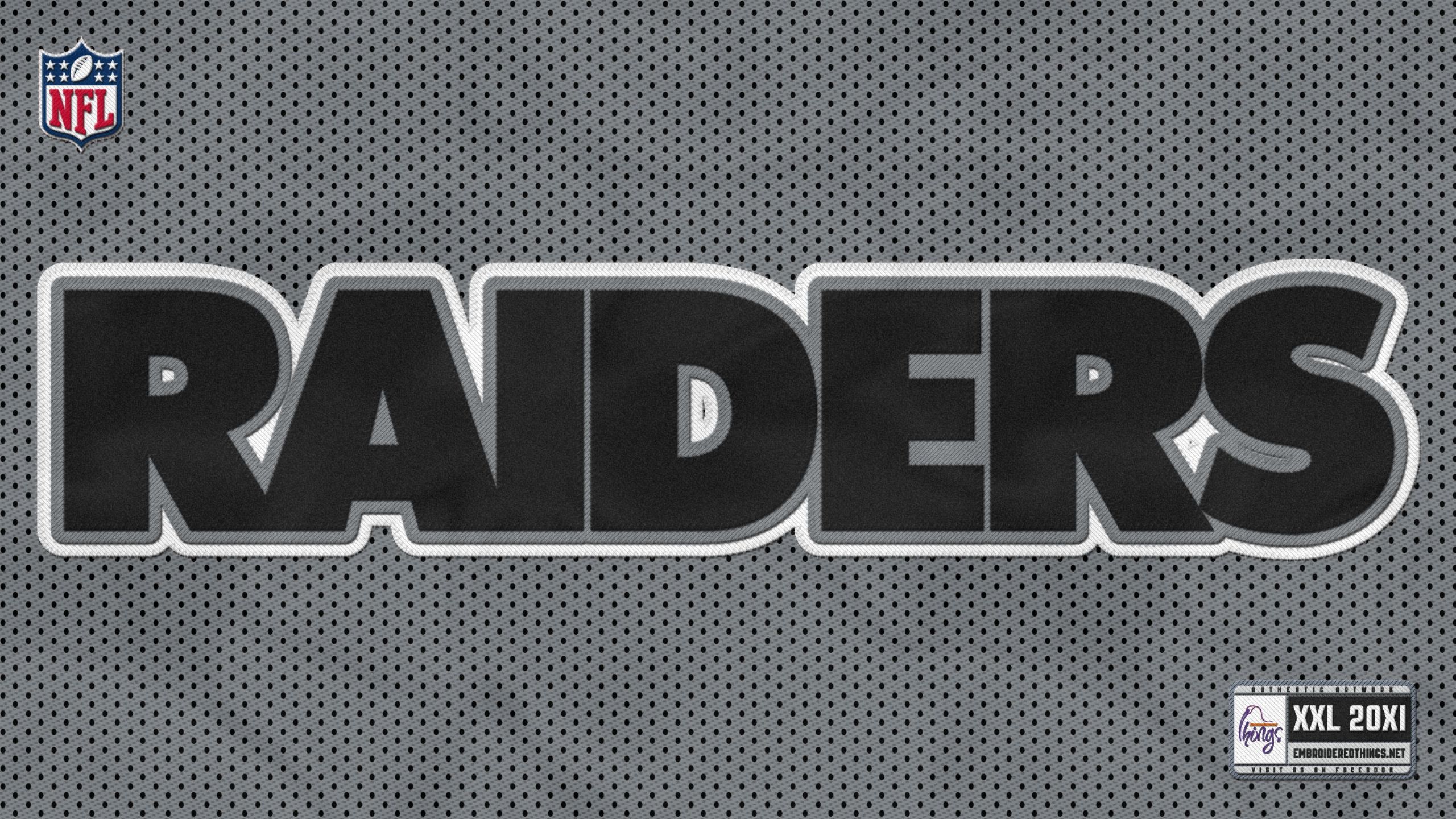 Download Wallpaper 2560x1440 Oakland raiders, Football club, Nfl ...