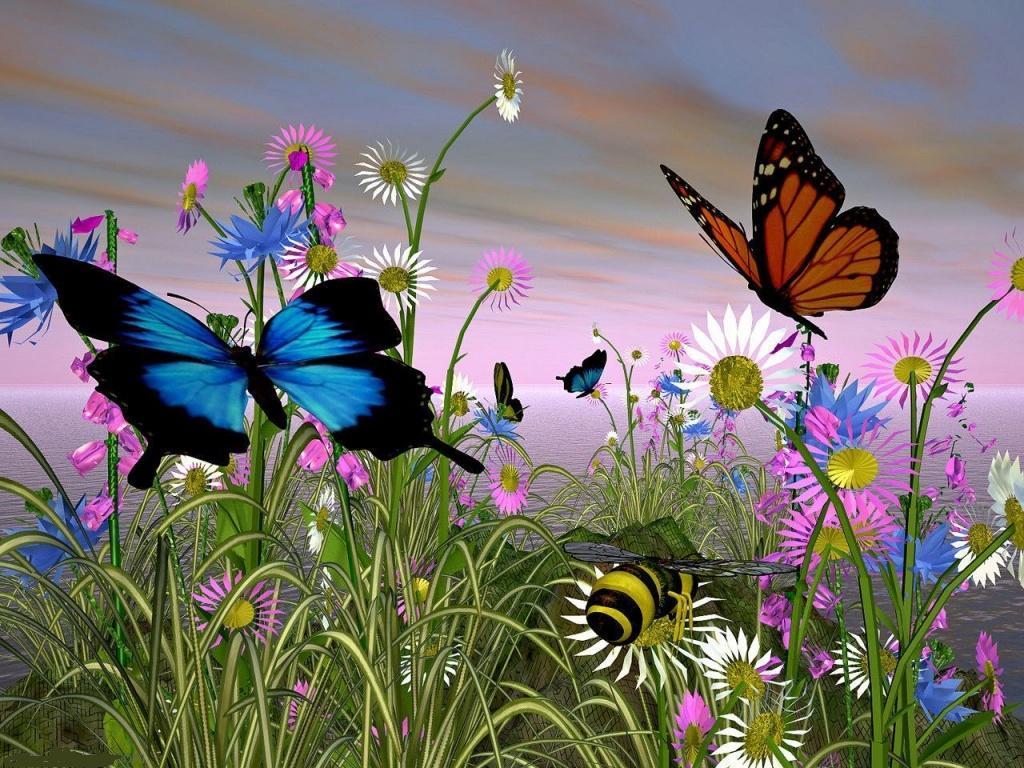 BUTTERFLIES & NATURE on Pinterest | Butterfly Wallpaper ...