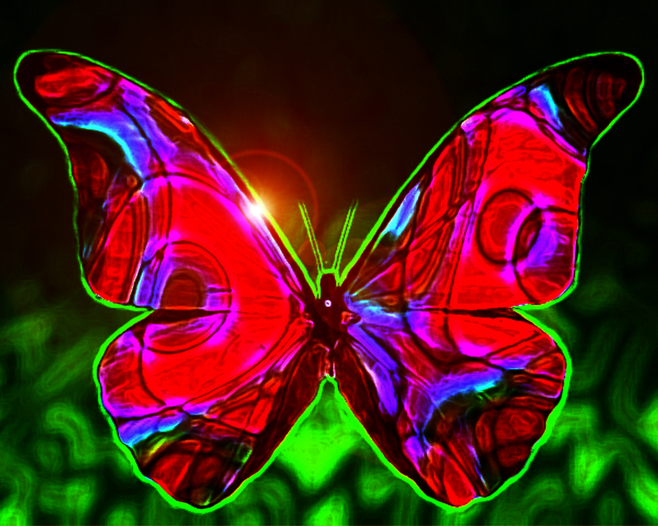 12 Most Beautiful Butterflies Wallpaper :: Butterfly Designs ...
