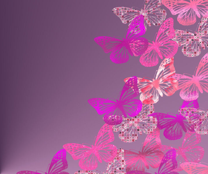 30 Beautiful Butterfly Wallpapers Will Make Your Day - Roohdaar