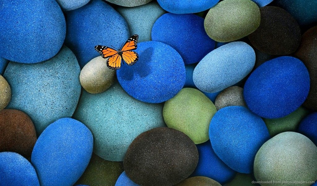 Download 1024x600 Beautiful Pebbles And Butterfly Wallpaper