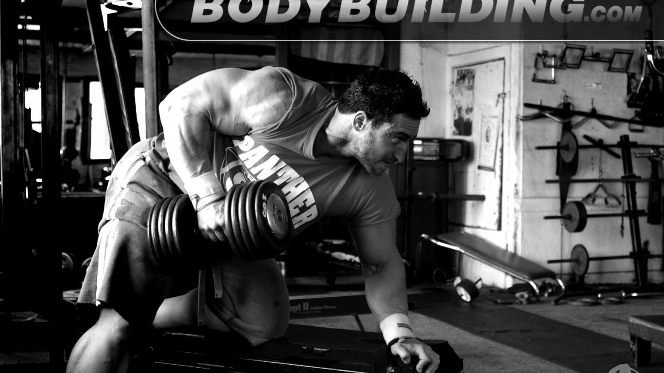 gym body building sport man muscle HD Wallpaper wallpaper ...