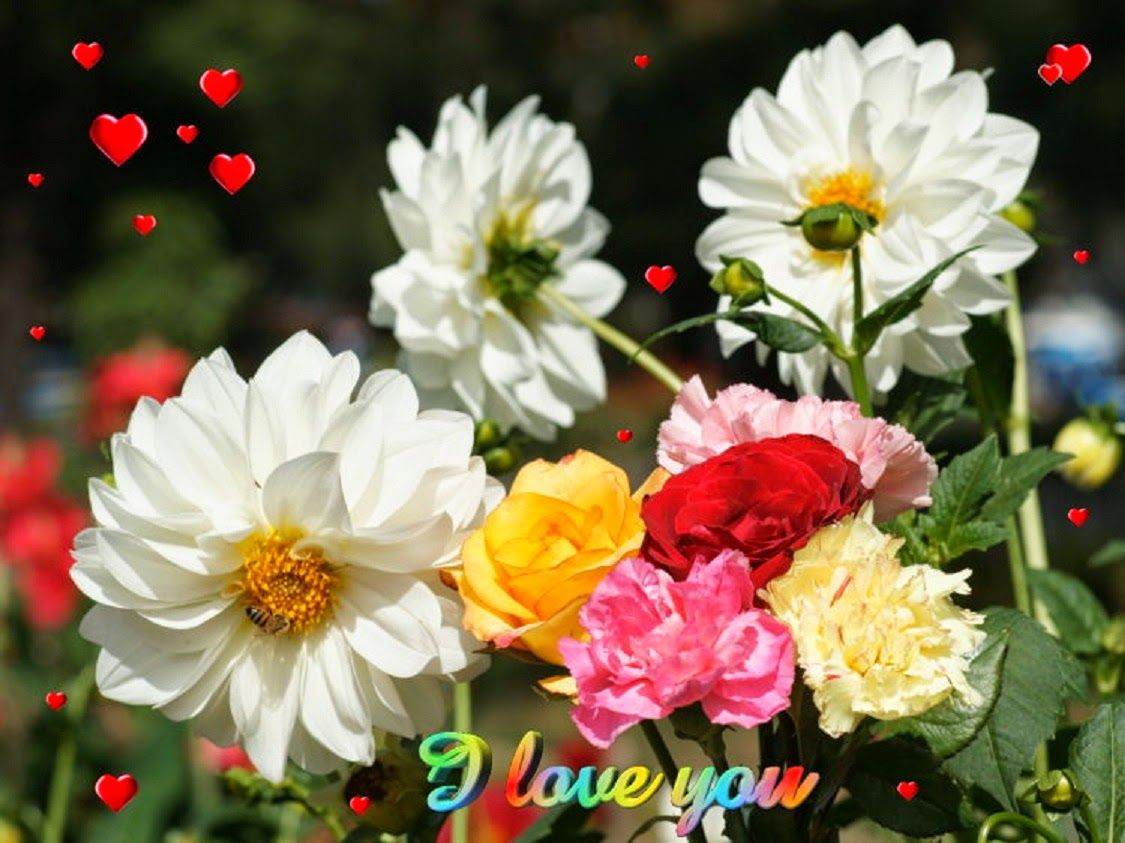 Cute And Beautiful Flowers Wallpapers Free Download | FREE ALL HD ...