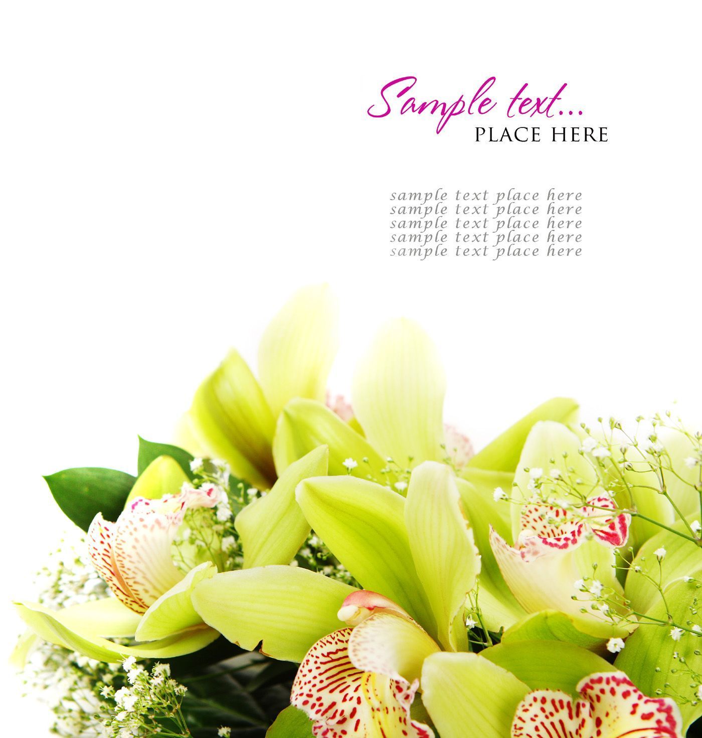 Beautiful flowers 27196 - Flower Wallpapers - Flowers