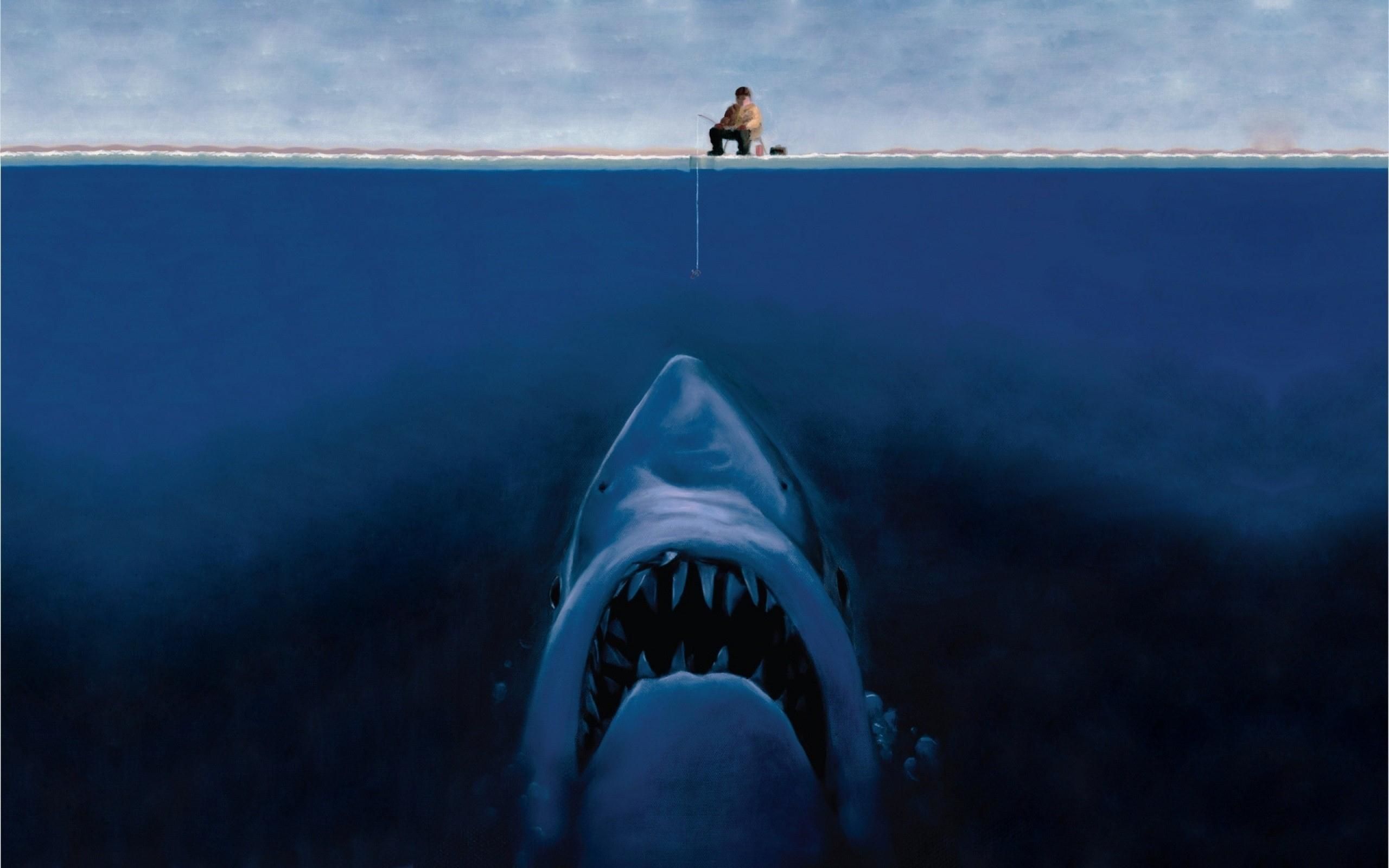 Wallpapers Furry Free Funny Art Shark Hunting Sea Hd 2560x1600