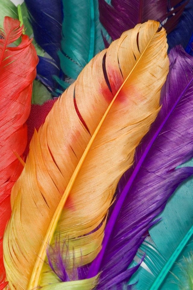 Colorful Feather Iphone 4 Wallpapers 640x960 Cell Phone Screensavers