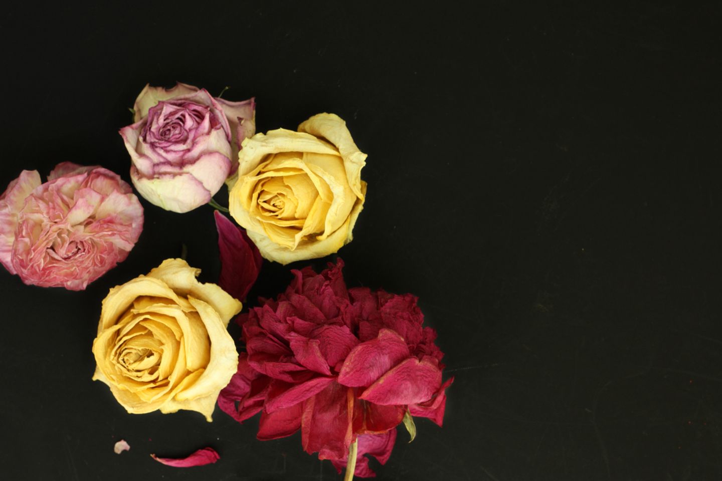 PRETTY TECH floral free desktop wallpaper download