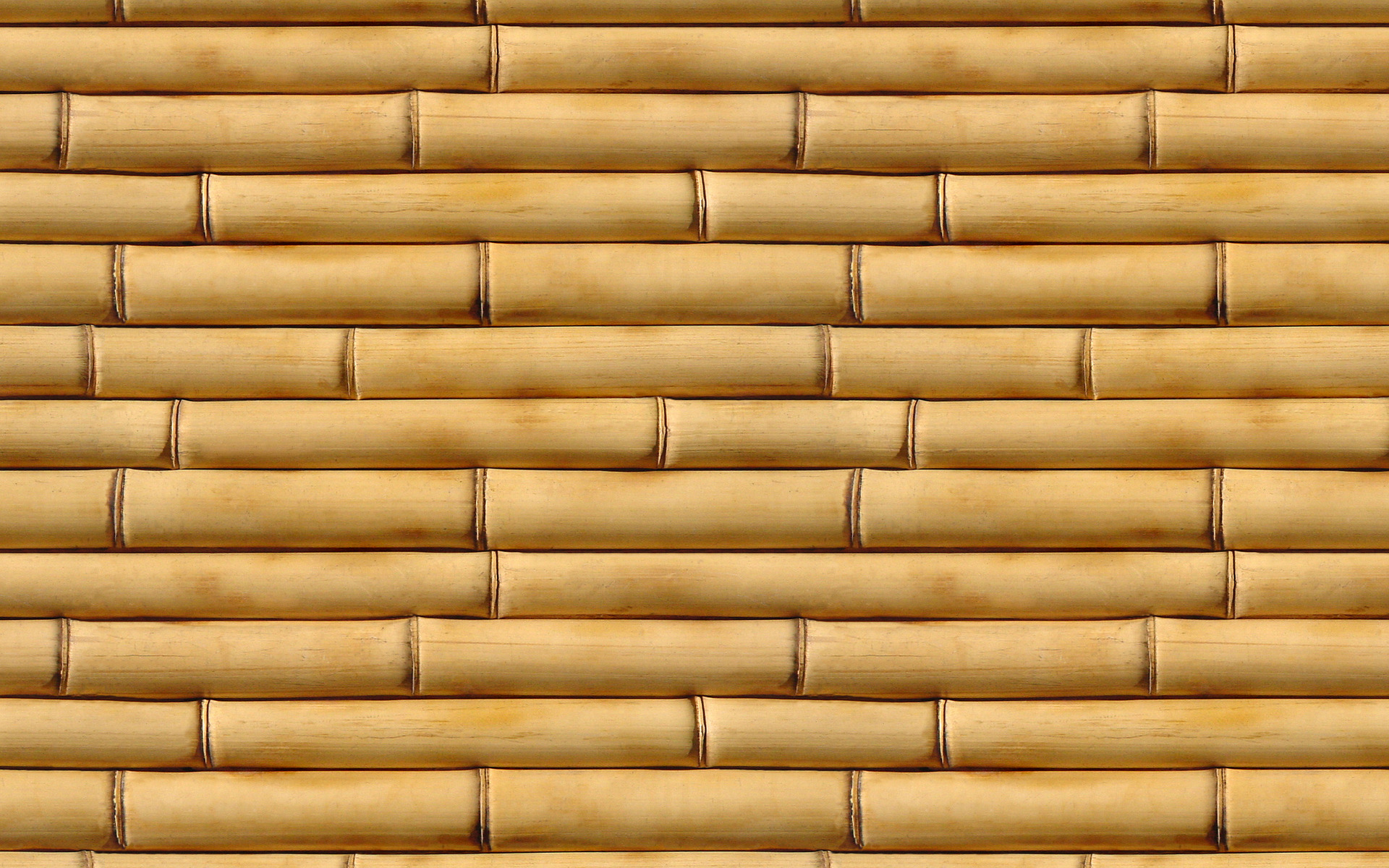 Download texture bamboo, tree wood, texture, download photo