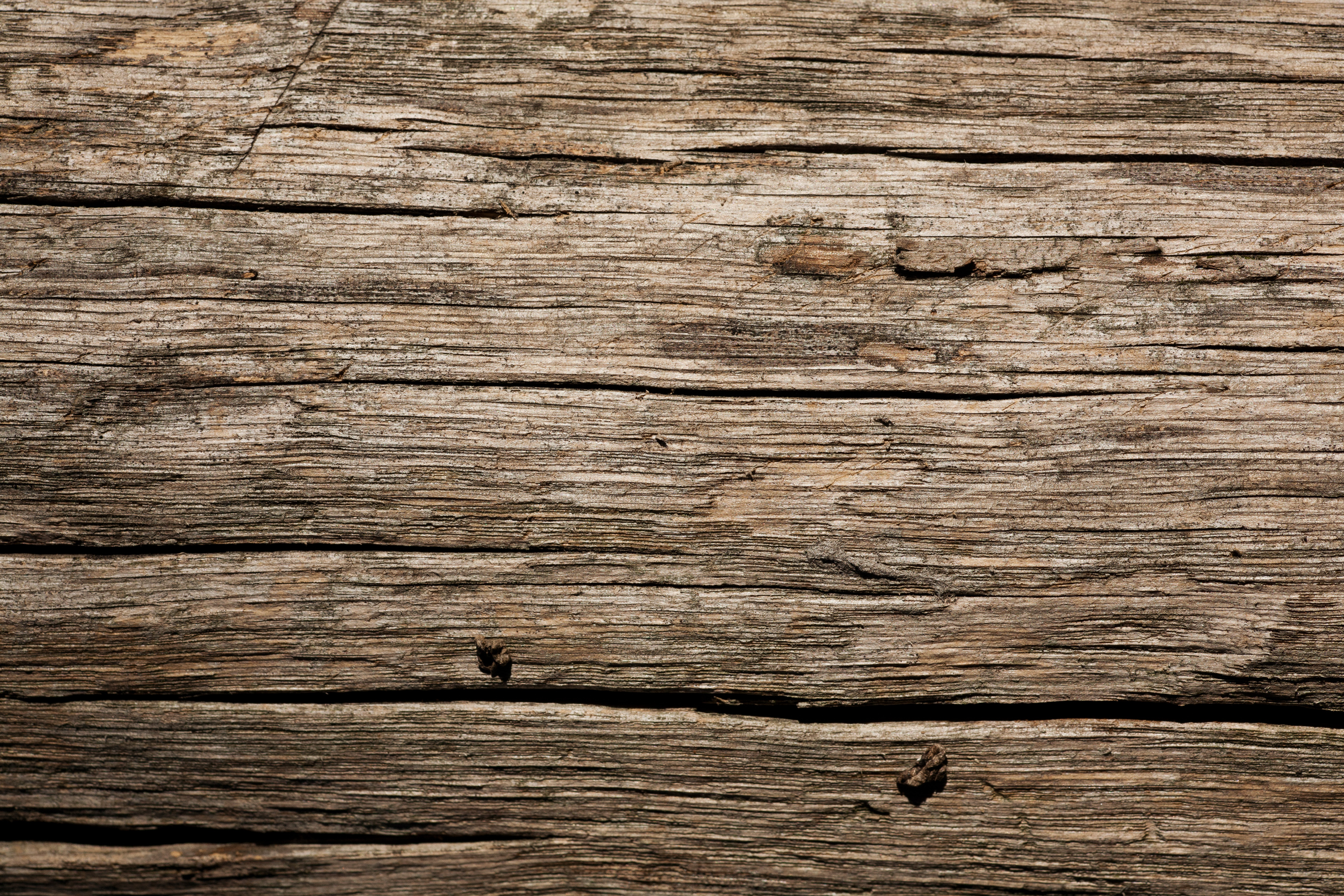 Download texture: old wooden boards texture background, wood