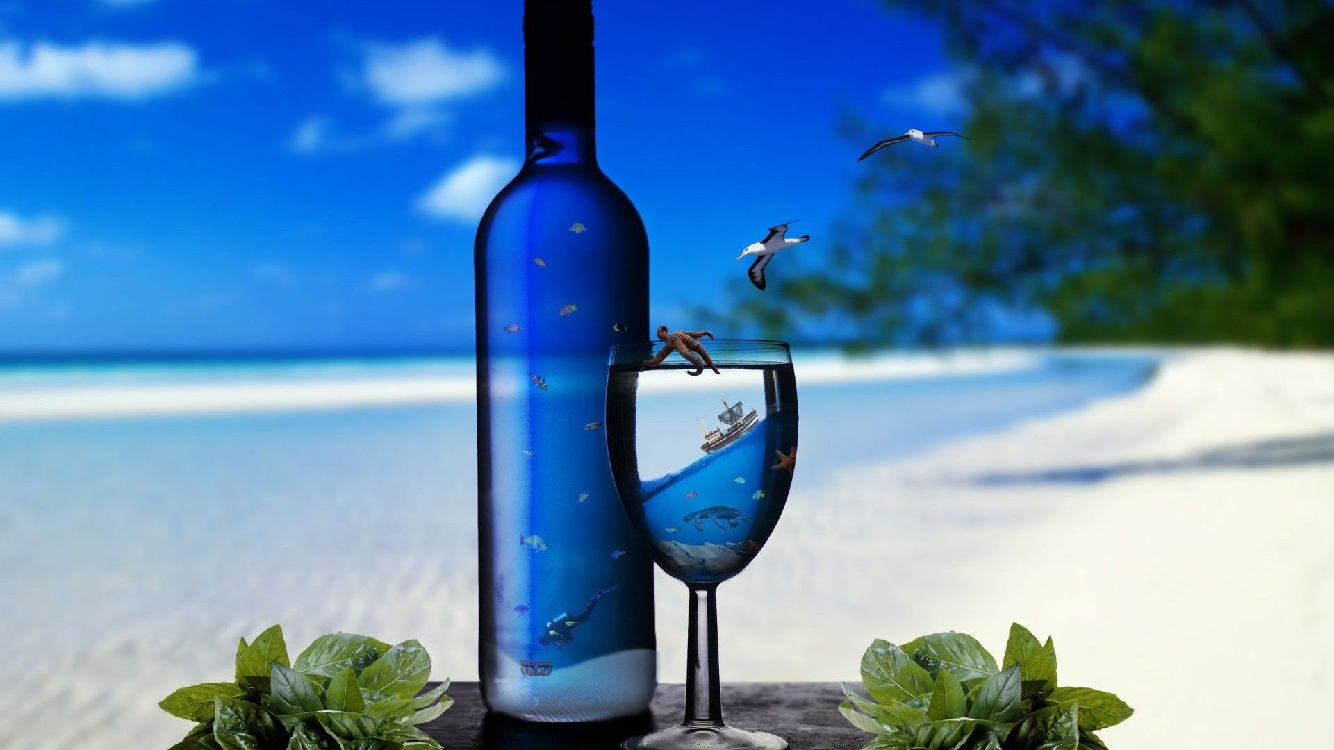 Bottle Beach and Wine Bottle Wallpaper HD Free Download