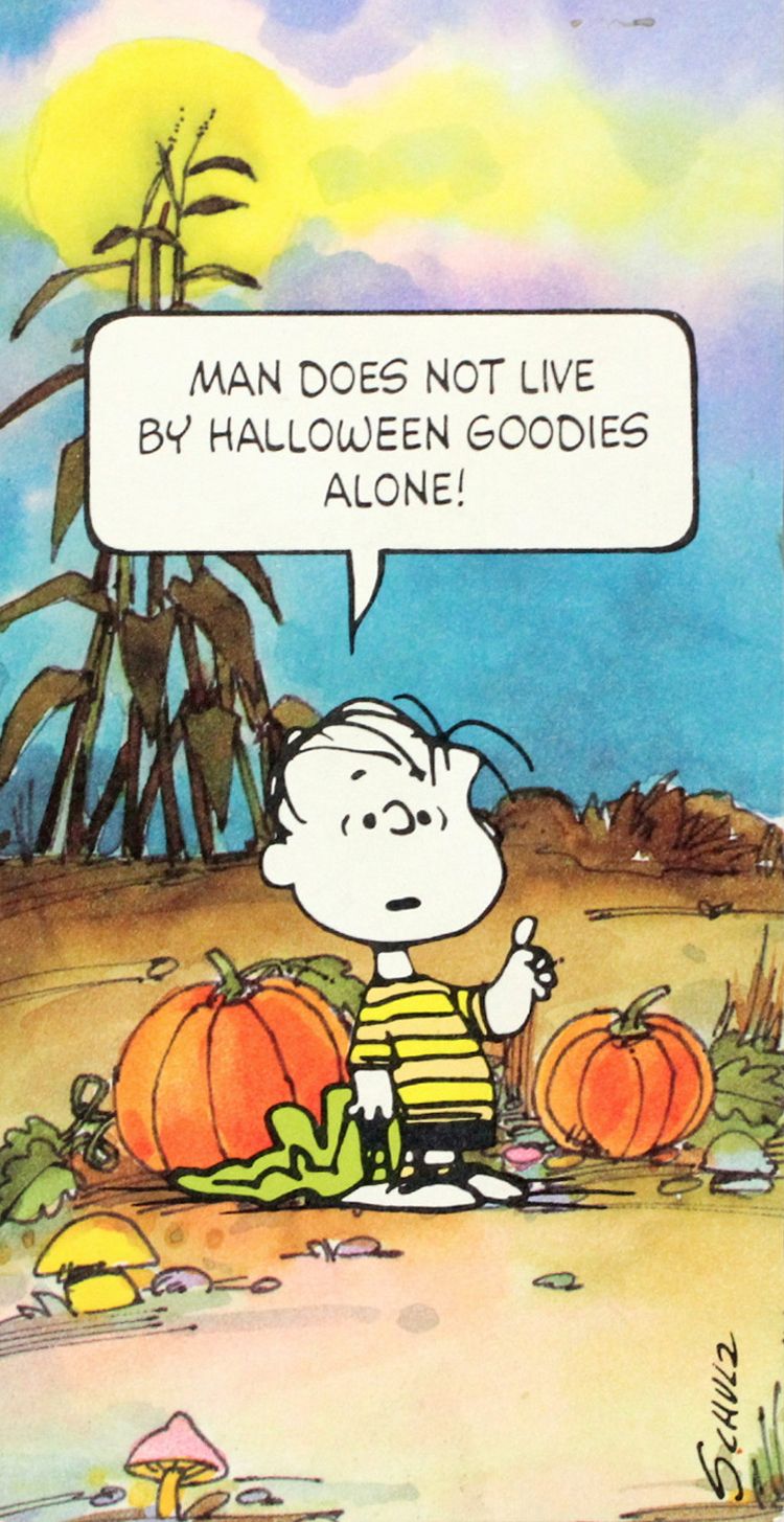Snoopy Thanksgiving Quotes. QuotesGram