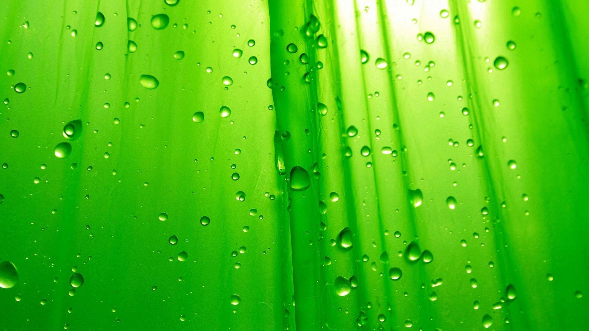 Green Background 731E Awesome Best - wallnyoi.com