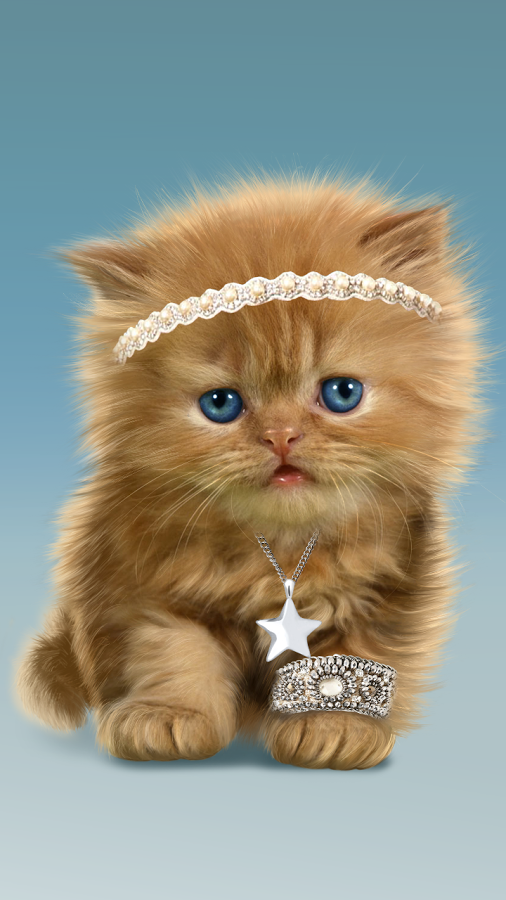 Baby Cat, Cute Live Wallpaper - Android Apps on Google Play