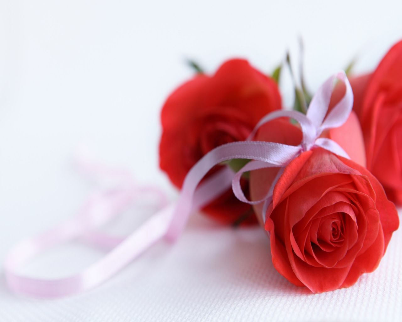 Love Flowers And Wallpapers Download