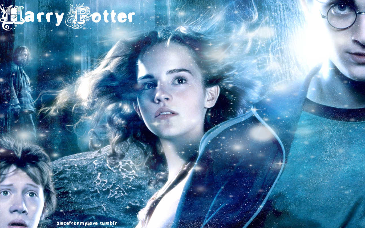 Harry Potter - Harry, Ron and Hermione Wallpaper (23560775) - Fanpop