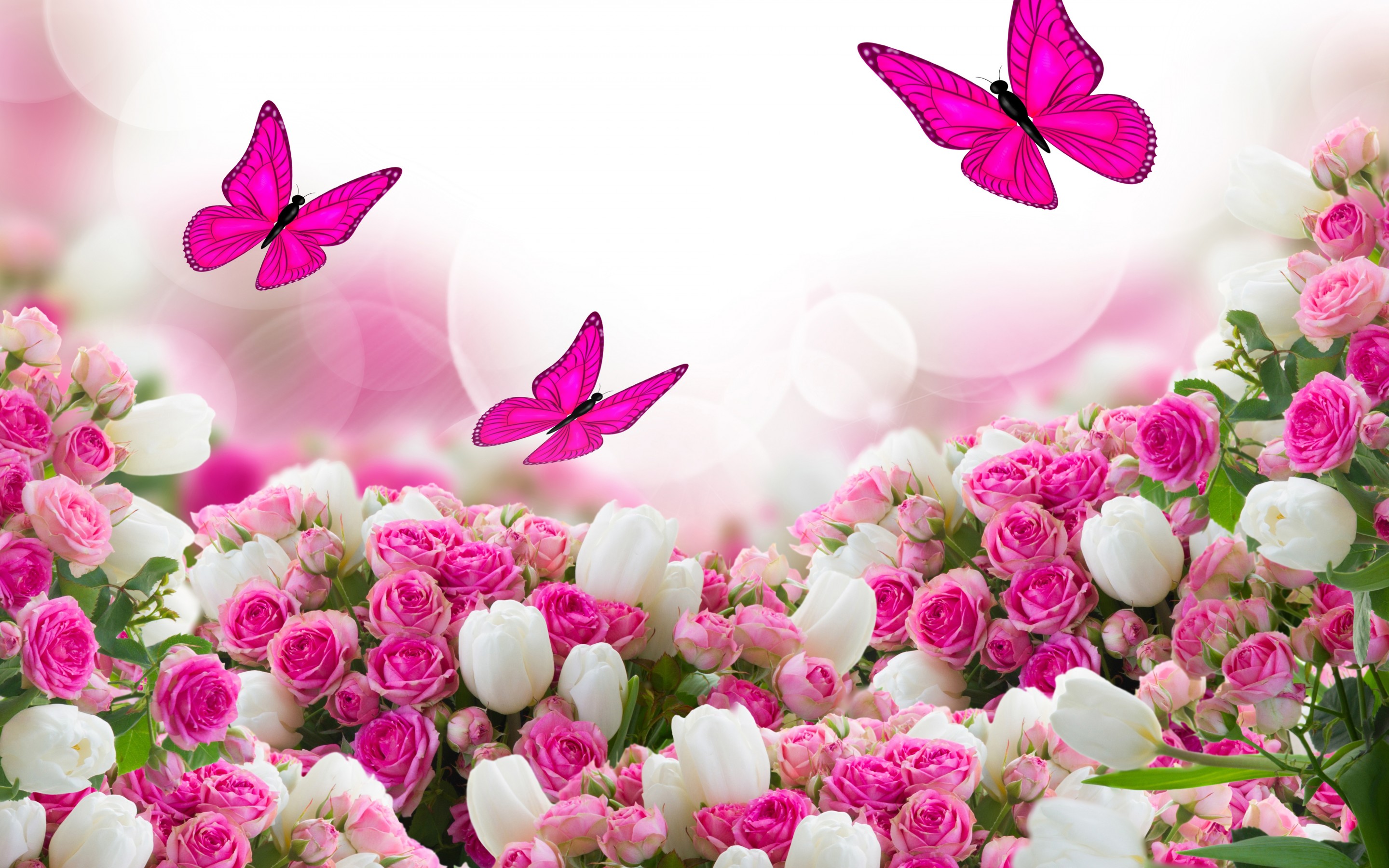 Wallpapers Of Beautiful Flowers