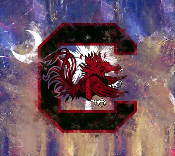 SC Gamecocks on Pinterest South Carolina, Womens Basketball and other