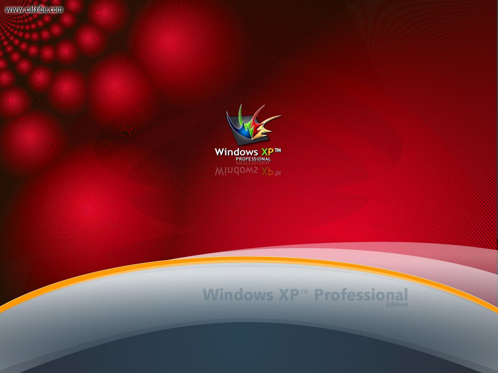 Windows xp professional wallpapers