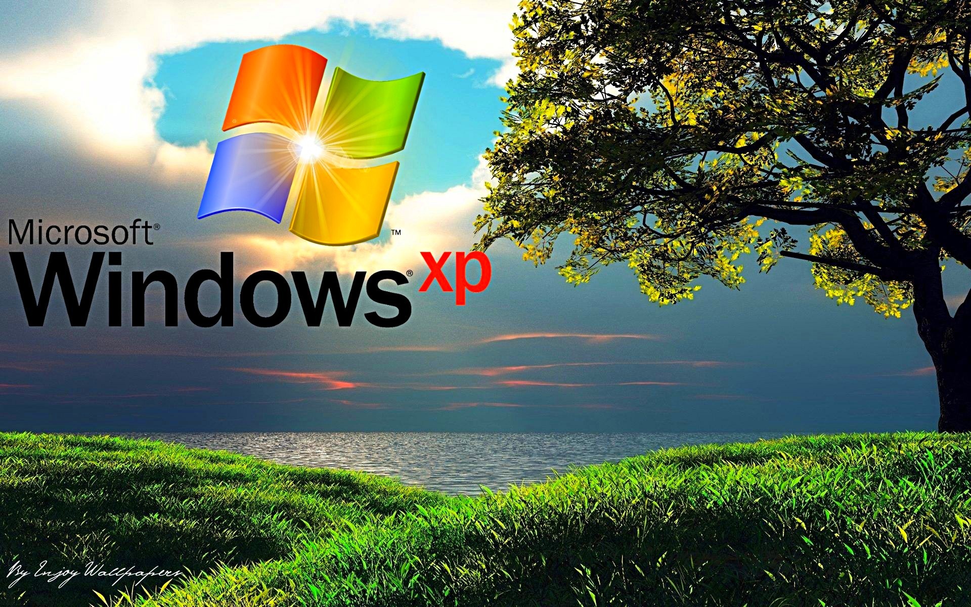 Fonds d'écran Windows Xp : tous les wallpapers Windows Xp