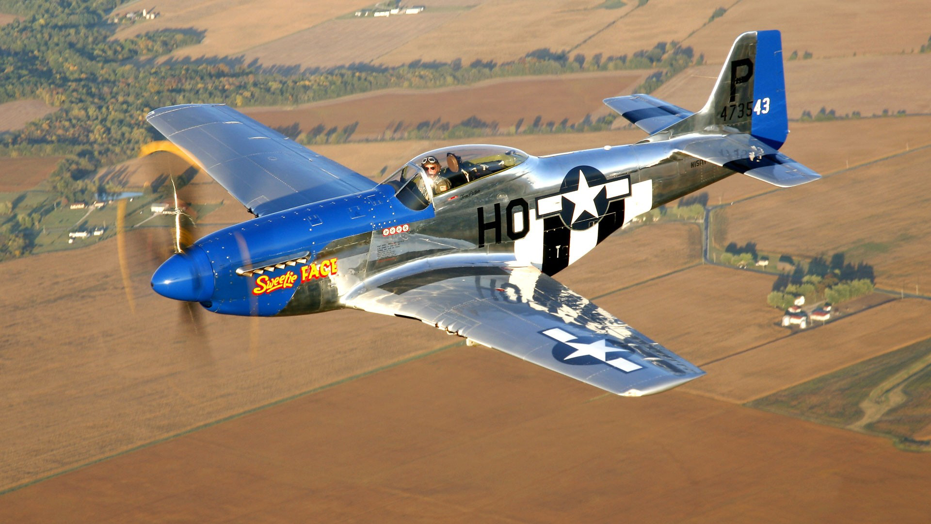 Military historical club airplane North American P-51 Mustang ...