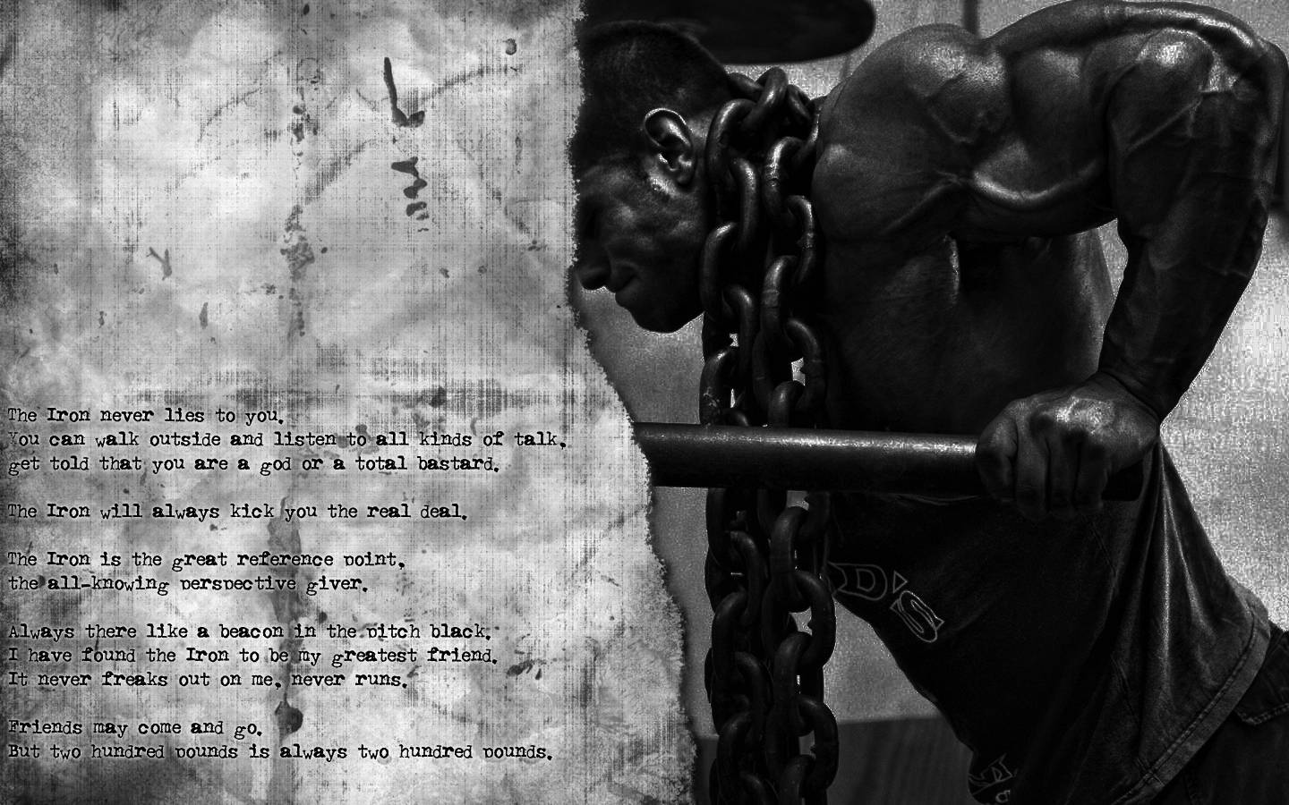 Bodybuilding B-W Muscle Chain Training Fitness Iron wallpaper ...
